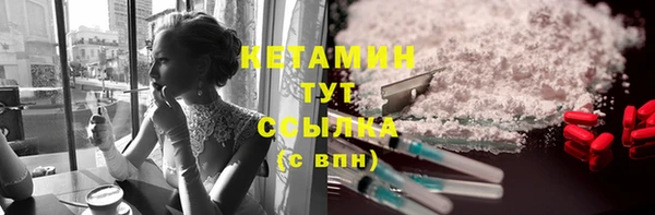 сатива Богданович