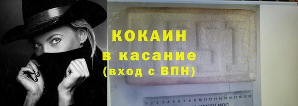 сатива Богданович