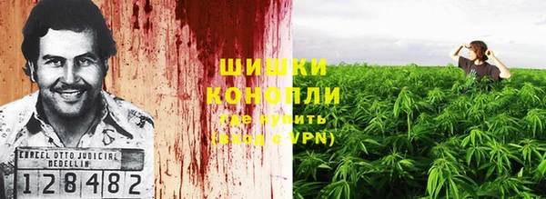 ALPHA PVP Богородицк