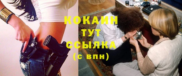 сатива Богданович