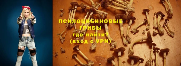 PSILOCYBIN Бугульма