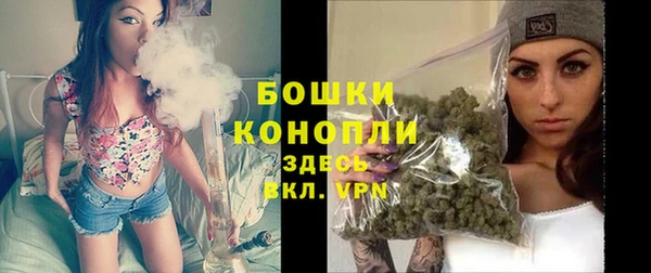 PSILOCYBIN Бугульма
