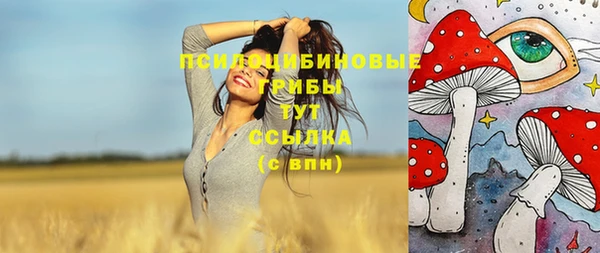 мет Бородино