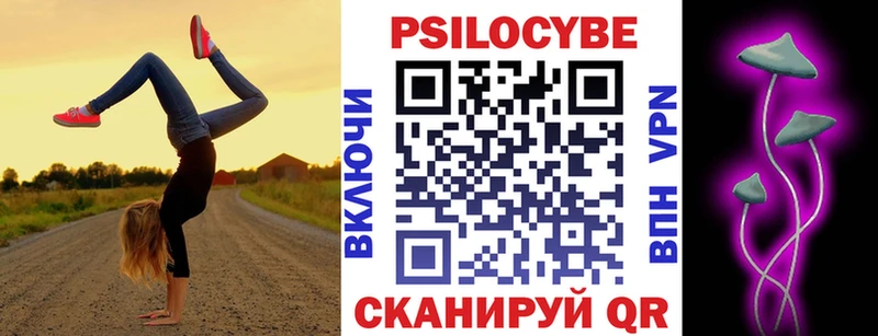 Псилоцибиновые грибы Psilocybine cubensis  Верхоянск 